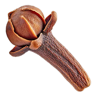Clove
