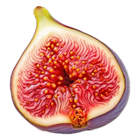 Fig