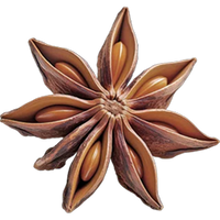 Star Anise