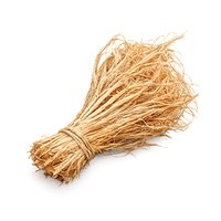 Vetiver