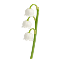 Lily of the valley