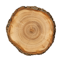 Holz